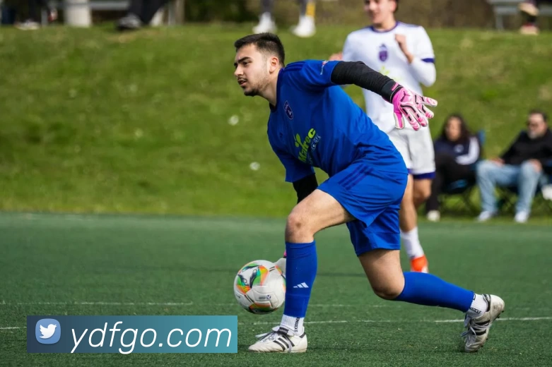 壹定发官网平台生态图